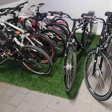 Tatil Evi Mr Alheira House