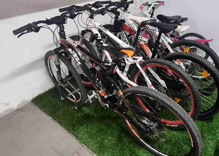 Tatil Evi Mr Alheira House